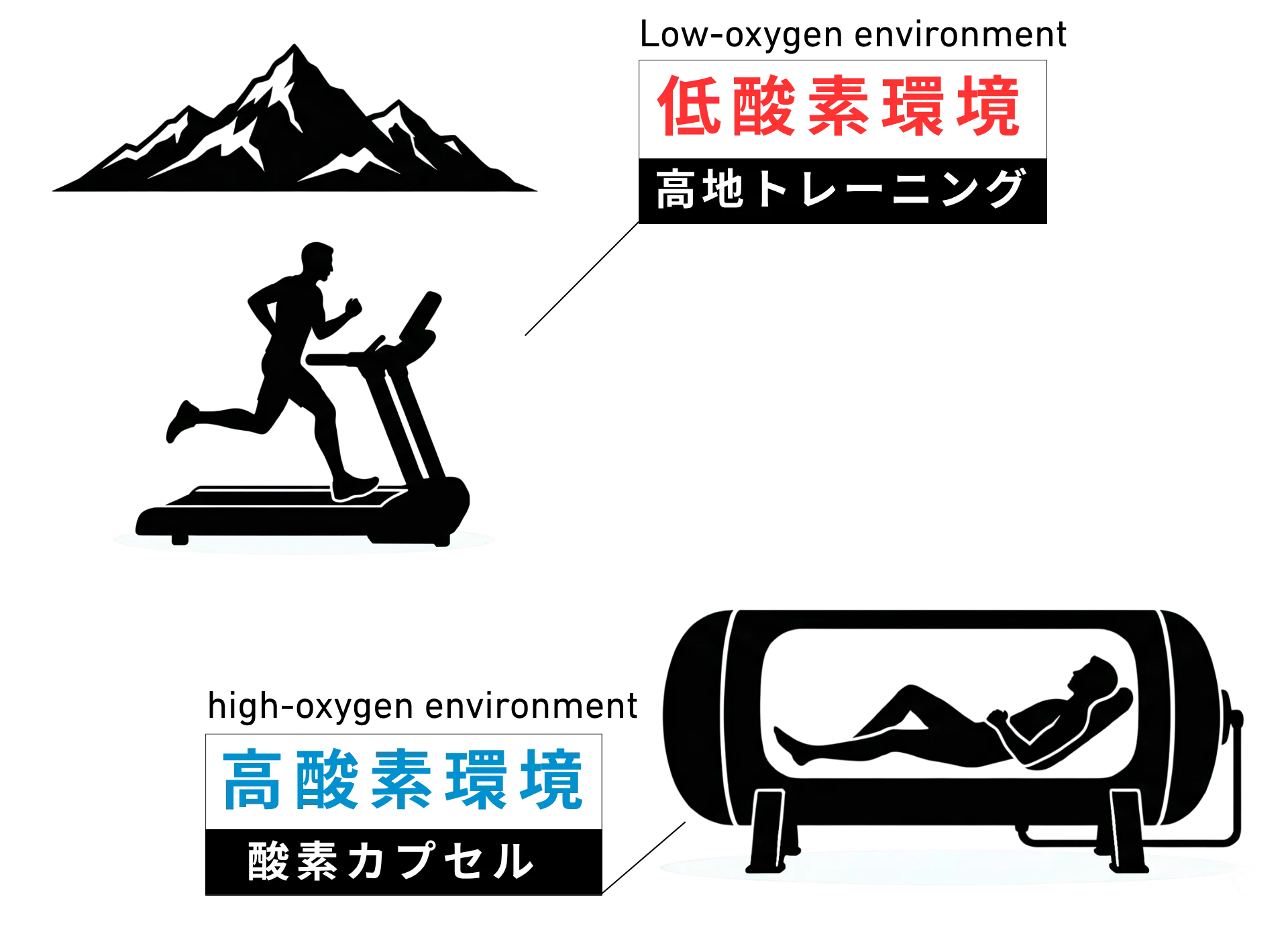 相反する2つの環境